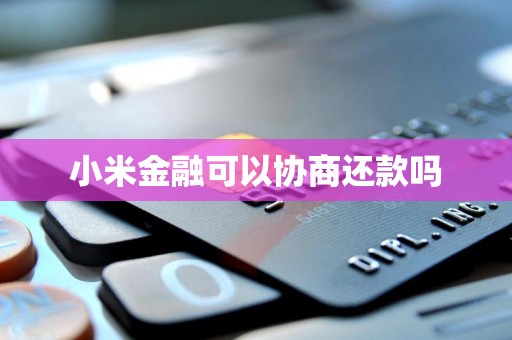 小米金融的還款協(xié)商機制與金融信息咨詢服務(wù)解析